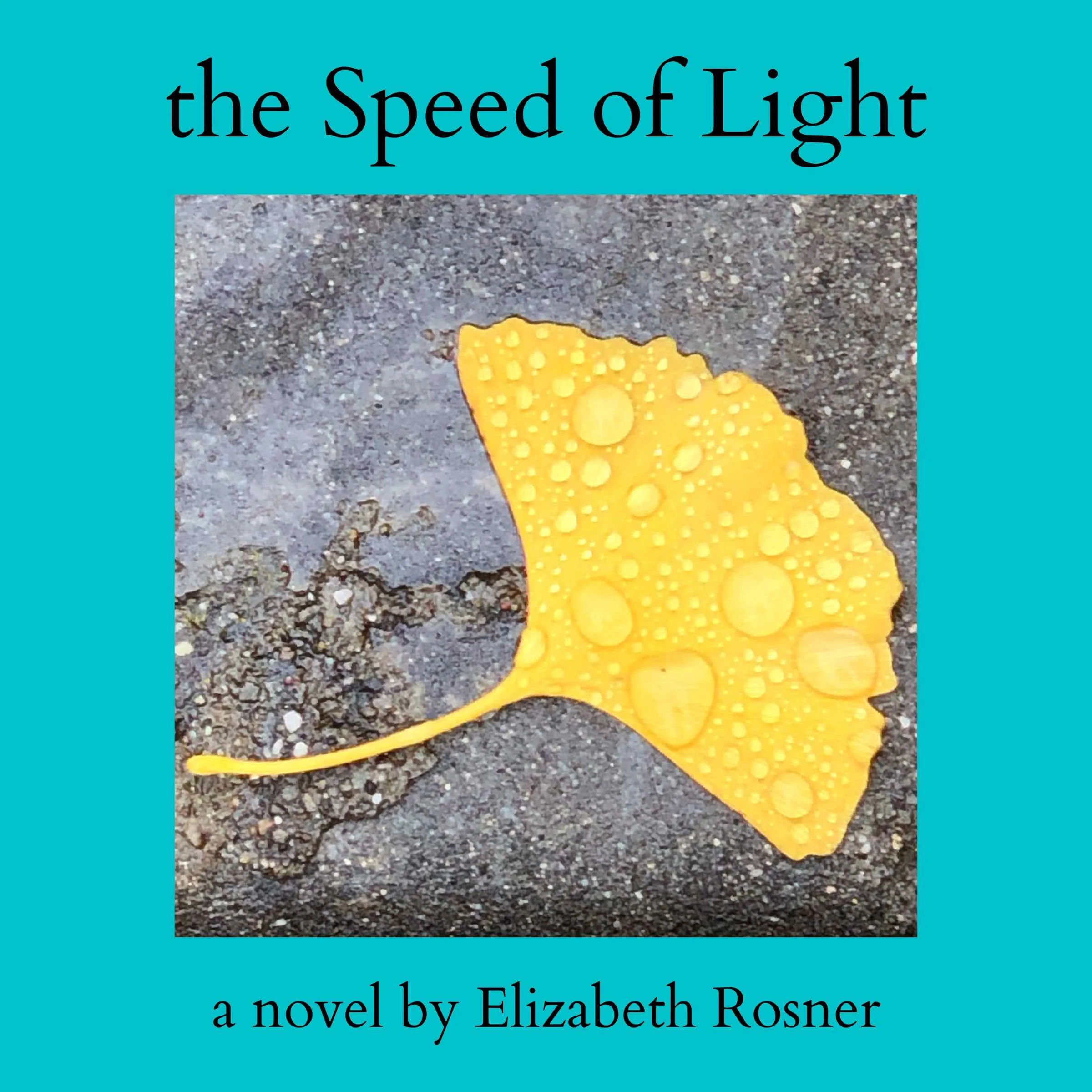 The Speed Of Light, a novel by Elizabeth Rosner